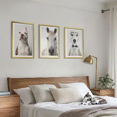 Sada 3 obrazů elegantní portréty psů a koní