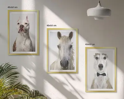 Sada 3 obrazů elegantní portréty psů a koní