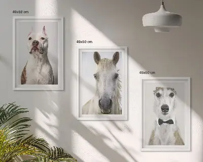 Sada 3 obrazů elegantní portréty psů a koní