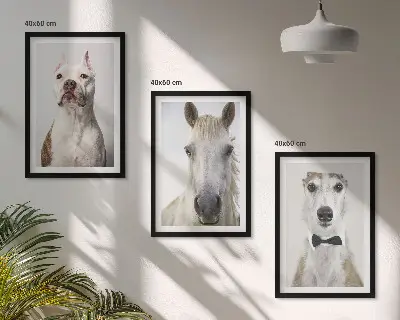 Sada 3 obrazů elegantní portréty psů a koní