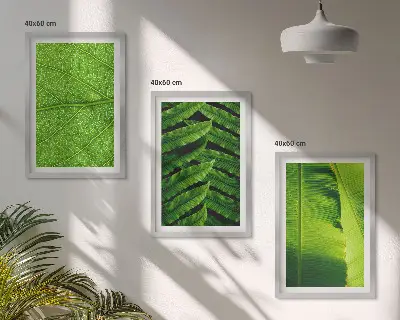 Kompozice obrazů na stěnu makrofotografie tropických listů