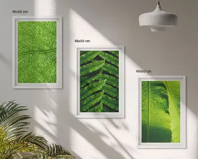 Kompozice obrazů na stěnu makrofotografie tropických listů