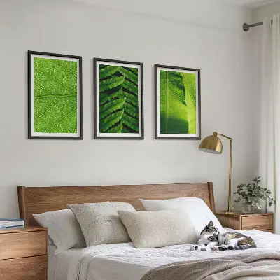Kompozice obrazů na stěnu makrofotografie tropických listů