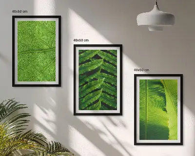 Kompozice obrazů na stěnu makrofotografie tropických listů