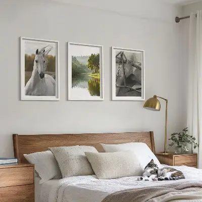 Sada 3 obrazů bílí koně v říční přírodě