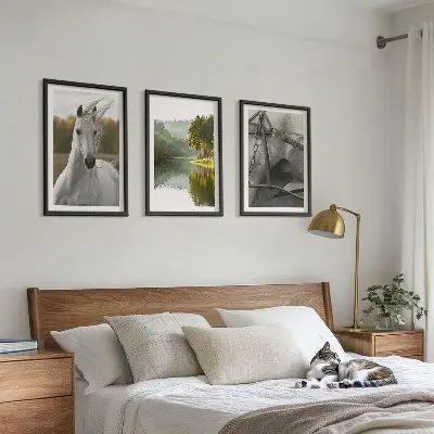 Sada 3 obrazů bílí koně v říční přírodě