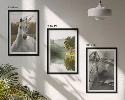 Sada 3 obrazů bílí koně v říční přírodě