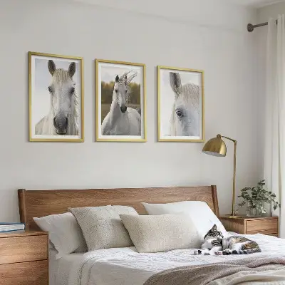 Bílí koně v přírodě sada 3 obrazů