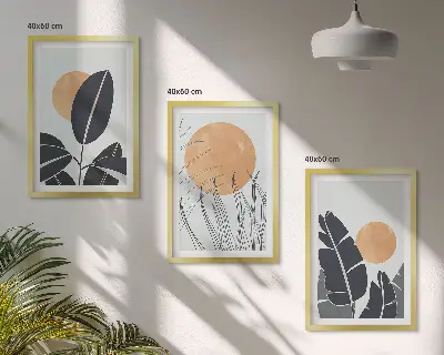 Sada 3 obrazů minimalistické rostlinné vzory s velkými slunci