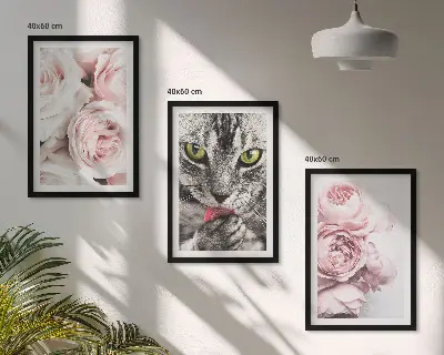 Kočka v růžových květech sada 3 obrazů