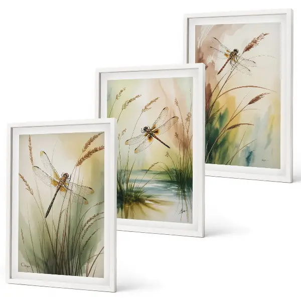 Vážky a trávy akvarel sada 3 obrazů
