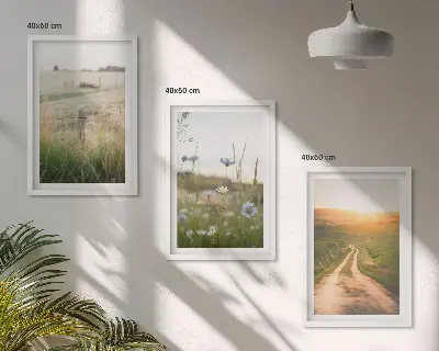 Sada obrazů do obývacího pokoje s motivem krajiny s polní cestou v přírodě