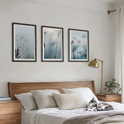 Pampelišky s kapkami vody sada 3 obrazů