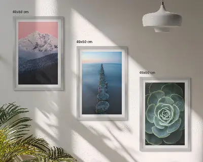Sada obrazů do obývacího pokoje s motivem hor, růžové oblohy, vody a sukulentů