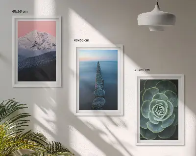 Sada obrazů do obývacího pokoje s motivem hor, růžové oblohy, vody a sukulentů