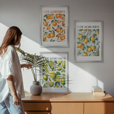 Sada obrazů do obývacího pokoje Ovocné citrusové pastelové vzory