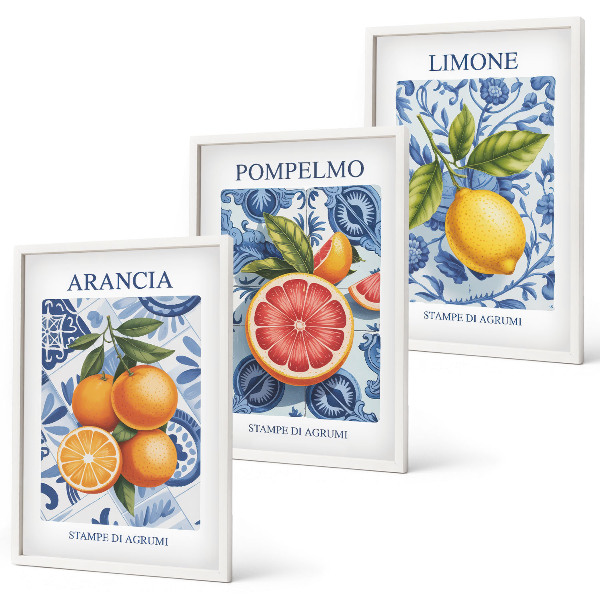 Kompozice obrazů na stěnu Citrusové plody Vintage ilustrace