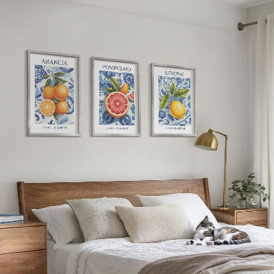 Kompozice obrazů na stěnu Citrusové plody Vintage ilustrace