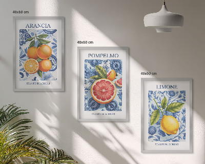 Kompozice obrazů na stěnu Citrusové plody Vintage ilustrace