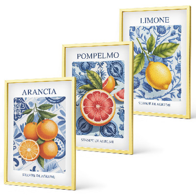 Kompozice obrazů na stěnu Citrusové plody Vintage ilustrace