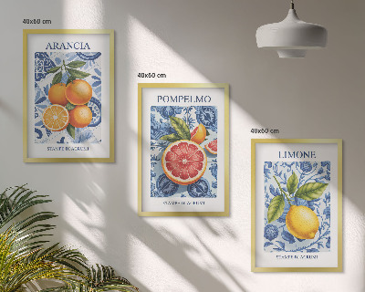 Kompozice obrazů na stěnu Citrusové plody Vintage ilustrace