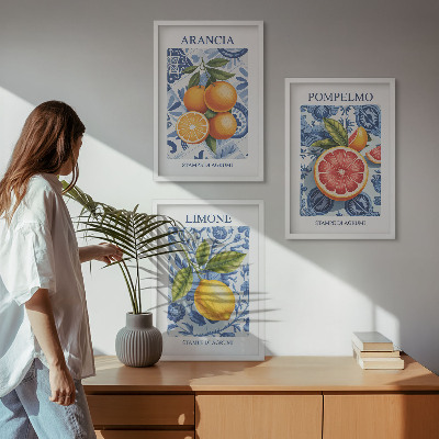 Kompozice obrazů na stěnu Citrusové plody Vintage ilustrace