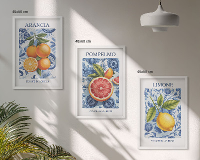 Kompozice obrazů na stěnu Citrusové plody Vintage ilustrace