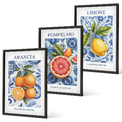 Kompozice obrazů na stěnu Citrusové plody Vintage ilustrace