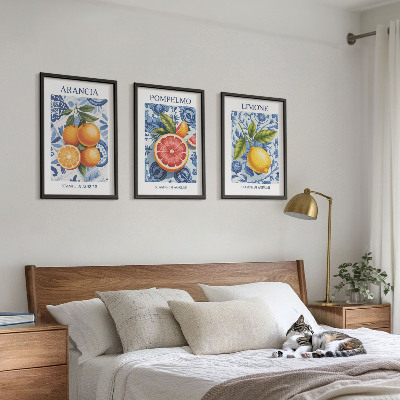 Kompozice obrazů na stěnu Citrusové plody Vintage ilustrace