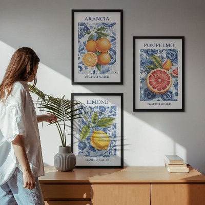 Kompozice obrazů na stěnu Citrusové plody Vintage ilustrace