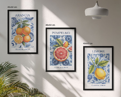 Kompozice obrazů na stěnu Citrusové plody Vintage ilustrace