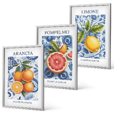 Kompozice obrazů na stěnu Citrusové plody Vintage ilustrace
