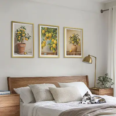 Sada 3 obrazů citroníky v květináči a váze