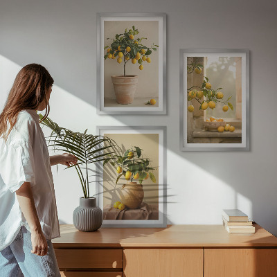 Sada obrazů do obývacího pokoje Citroníky v květináčích