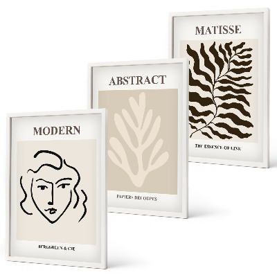 Sada 3 obrazů Tvář opouští umění Matisse