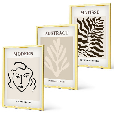 Sada 3 obrazů Tvář opouští umění Matisse