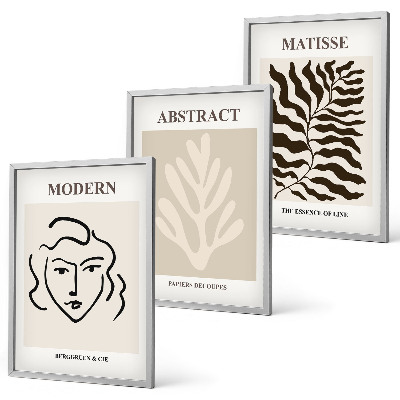 Sada 3 obrazů Tvář opouští umění Matisse
