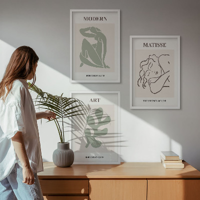 Sada obrazů do obývacího pokoje Stylový design rostlinných postav