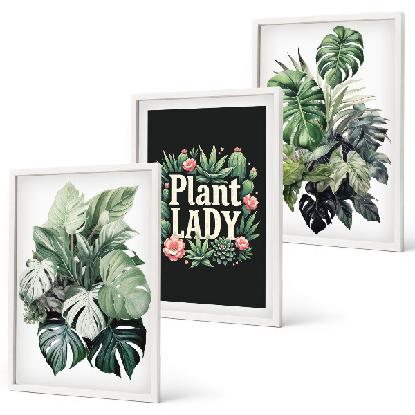 Sada obrazů do obývacího pokoje Tropické rostliny Plant Lady
