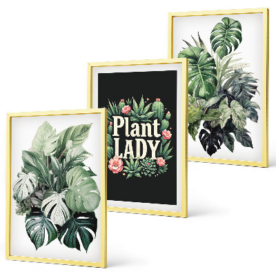 Sada obrazů do obývacího pokoje Tropické rostliny Plant Lady