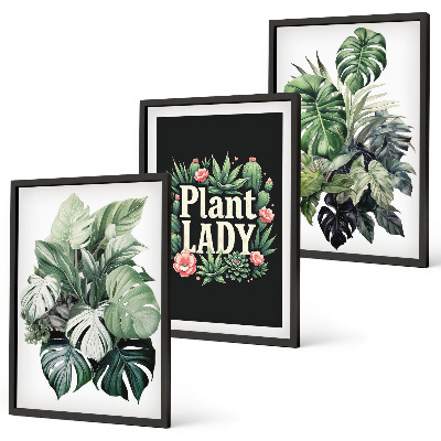 Sada obrazů do obývacího pokoje Tropické rostliny Plant Lady