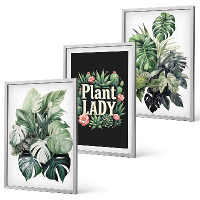 Sada obrazů do obývacího pokoje Tropické rostliny Plant Lady