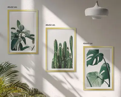 Sada obrazů do obývacího pokoje tropické rostliny v estetickém stylu