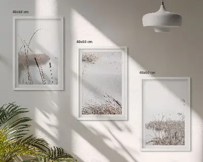 Sada 3 obrazů vodní vegetace v létě