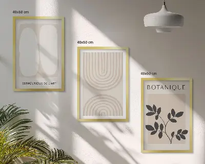 Sada 3 obrazů boho plakáty s jemnými rostlinami