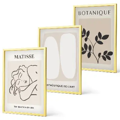 Sada obrazů do obývacího pokoje stylové obrazy s rostlinnými motivy od Matisse