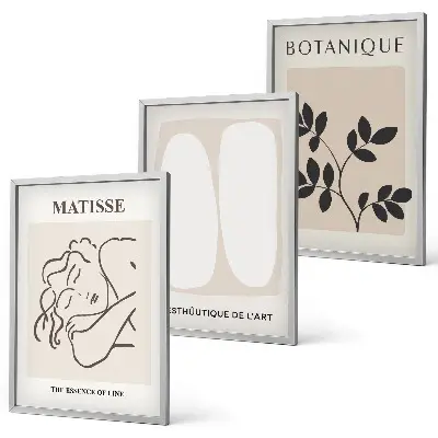 Sada obrazů do obývacího pokoje stylové obrazy s rostlinnými motivy od Matisse