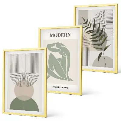 Sada 3 obrazů stylová grafika rostlin