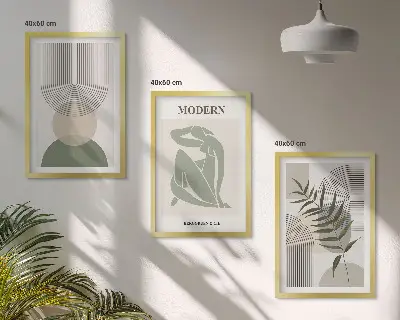 Sada 3 obrazů stylová grafika rostlin