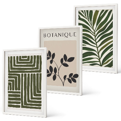 Sada 3 obrazů Botanický boho minimalismus